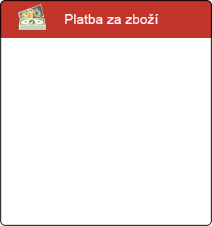 platba-za-zbozi-100%